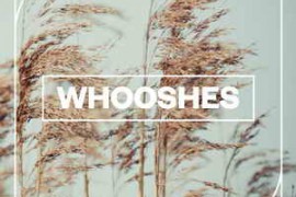 Blastwave FX Wooshes WAV-FANTASTiC