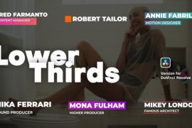 Lower Thirds Animation | DaVinci Resolve 47102634