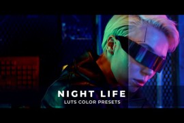 Night Life Luts 43385502
