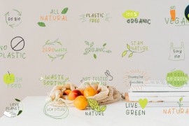 Eco Titles for DaVinci Resolve 47767366