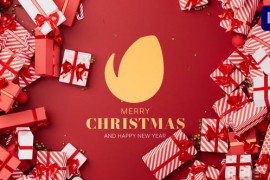 Christmas Logo Reveal 49317371