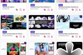 2023.11.15.8.Set.PR.Templates