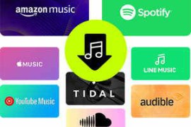 Free Download:SongGet.v8.0.0.3.x64