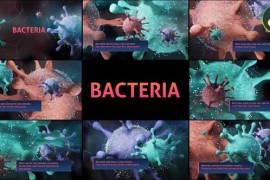 Bacteria for DaVinci Resolve 44391614