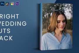 Bright Wedding Luts Pack 45496347