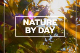 Blastwave FX Nature by Day WAV-FANTASTiC