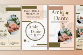 Wedding Invitation Instagram Stories Template | AE 44792764