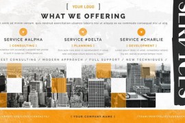 Business Promotion II 47434143