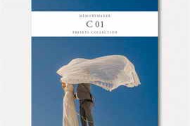 MemoryMaker Presets – Color Pack 01 Presets