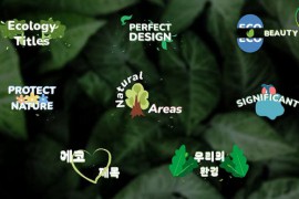 Ecology Titles for DaVinci Resolve 52277980