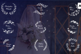 Wedding TItles 50850401