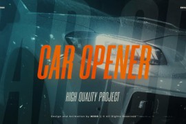 Car Logo Opener 48024289