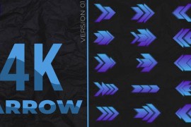 Arrow Pack V.01 46240207