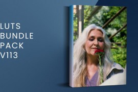 LUTs Bundle Pack V113 | DaVinci Resolve 50754327