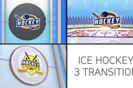 Ice Hockey Logo Transition 48286573