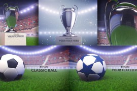 Soccer Championships Pack 22060860