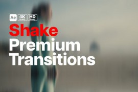Premium Transitions Shake 49908293
