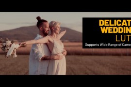 Delicate Wedding Color LUTs 48504904