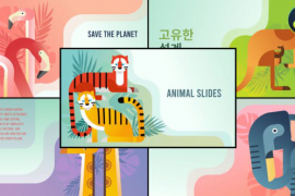 Animal Slides for DaVinci Resolve 51600279