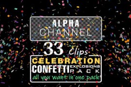 Celebration Confetti 24034643