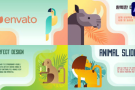 Animal Slides for After Effects 52123377