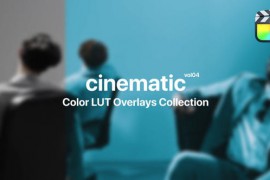 Cinematic Color Presets for Final Cut Pro Vol. 04 48017236