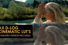 DJI D-Log and Standard Color LUTs 48915276