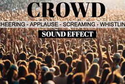 Crowd Cheering Clapping and Screaming Sound Effect Mp3
