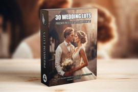 Top 30 Professional Cinematic Wedding LUTs For Wedding Filmmakers - Part 5 49639565
