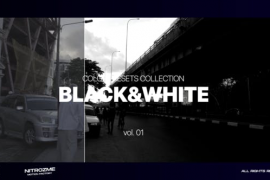Black and White LUT Collection Vol. 01 for Final Cut Pro X 46466637