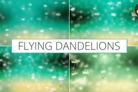 Flying Dandelions for DaVinci Resolve 52469826