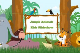 Jungle Animals Kids Slideshow 43443265