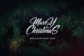 Christmas Wishes 42188236