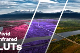Aerochrome Infrared LUTs 50860173
