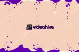 Summer Logo Reveal 47078336