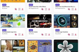 2024.5.19.8.Set.AE.Templates