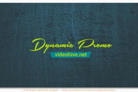 Dynamic Promo 49305293
