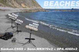 HISS and a ROAR AMB002 BEACHES WAV