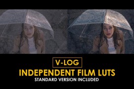 V-Log Independent Film and Standard Color LUTs 51378571