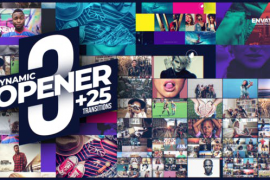 Dynamic Openers & Transitions 17192769