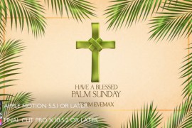 Palm Sunday Opener - Apple Motion 44598255