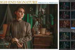 Z High-End Signature Presets + Profiles