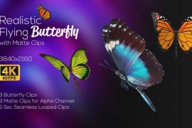 Realistic Flying Butterfly Loop - 4 K 44376325