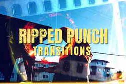 Free Download:Ripped Punch Transitions 61828398