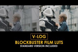 V-Log Blockbuster Films and Standard Color LUTs 51378166