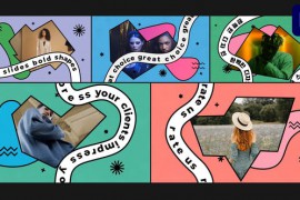 Bold Shapes Slides for Premiere Pro 50510063