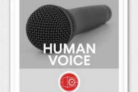 Big Room Sound Human Voice WAV-FANTASTiC