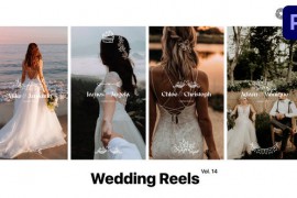 Wedding Reels for Premiere Pro Vol. 14 49377079