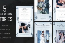 Wedding Instagram Stories 50871912