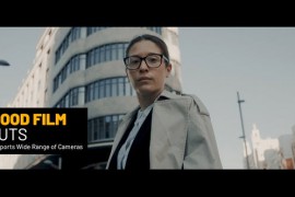 Mood Film LUTs 45053395